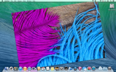 mac lilyview screenshot